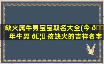 缺火属牛男宝宝取名大全(今 💐 年牛男 🦁 孩缺火的吉祥名字)